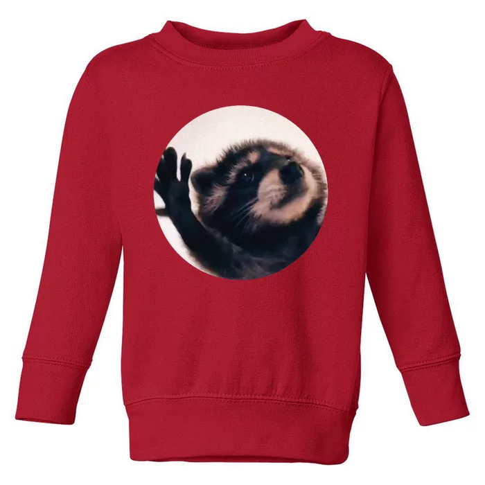 Pedro Pedro Racoon Dance Popular Internet Meme Racoon Day Toddler Sweatshirt