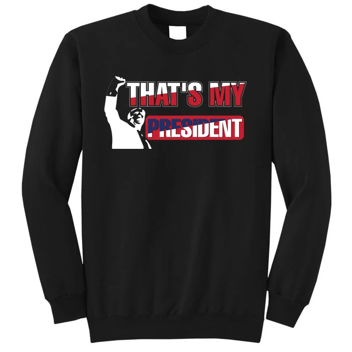 Patriotic Presidential Support Graphic Sweatshirt