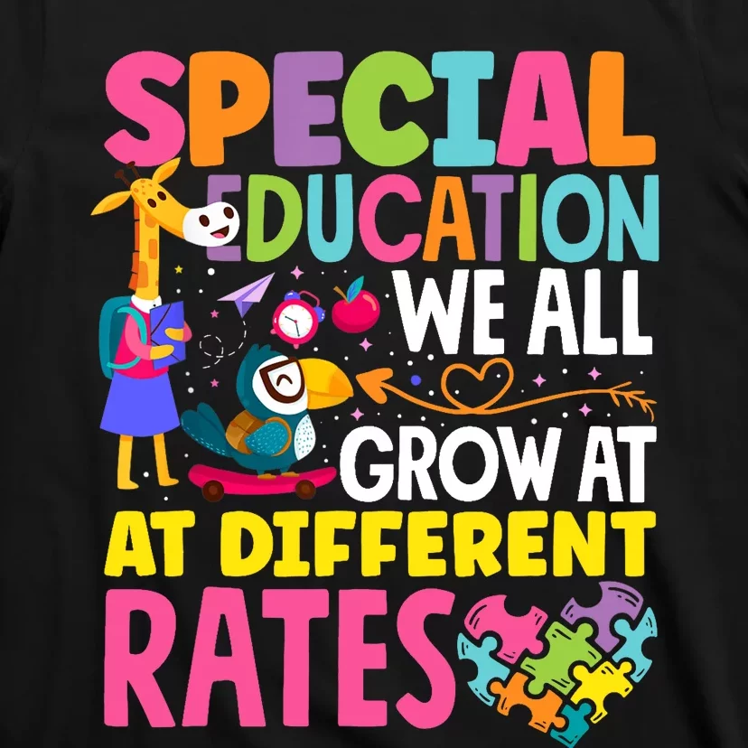 Paraeducator Paraprofessional SPED Teacher Special Education T-Shirt