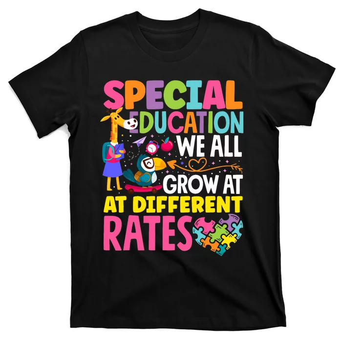 Paraeducator Paraprofessional SPED Teacher Special Education T-Shirt