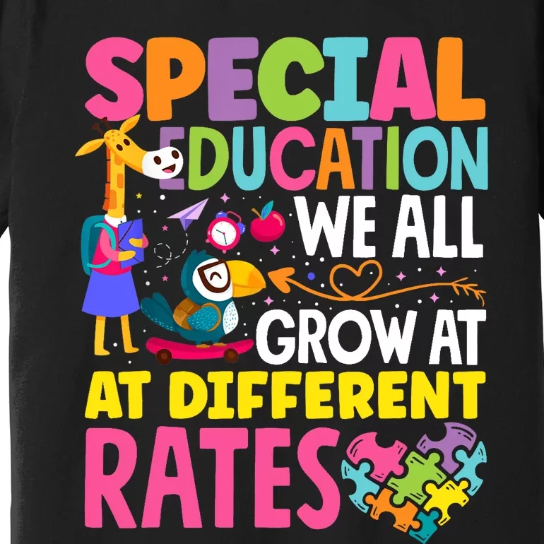 Paraeducator Paraprofessional SPED Teacher Special Education Premium T-Shirt