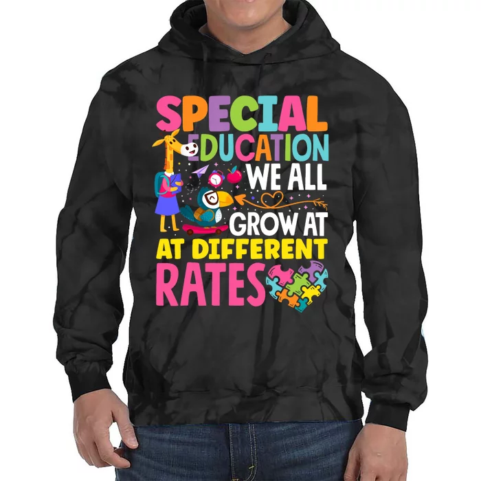 Paraeducator Paraprofessional SPED Teacher Special Education Tie Dye Hoodie