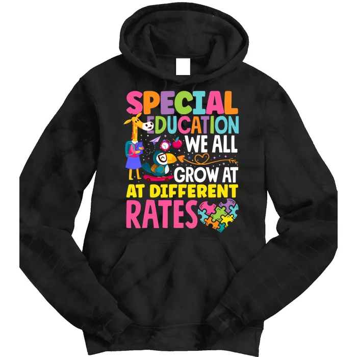 Paraeducator Paraprofessional SPED Teacher Special Education Tie Dye Hoodie