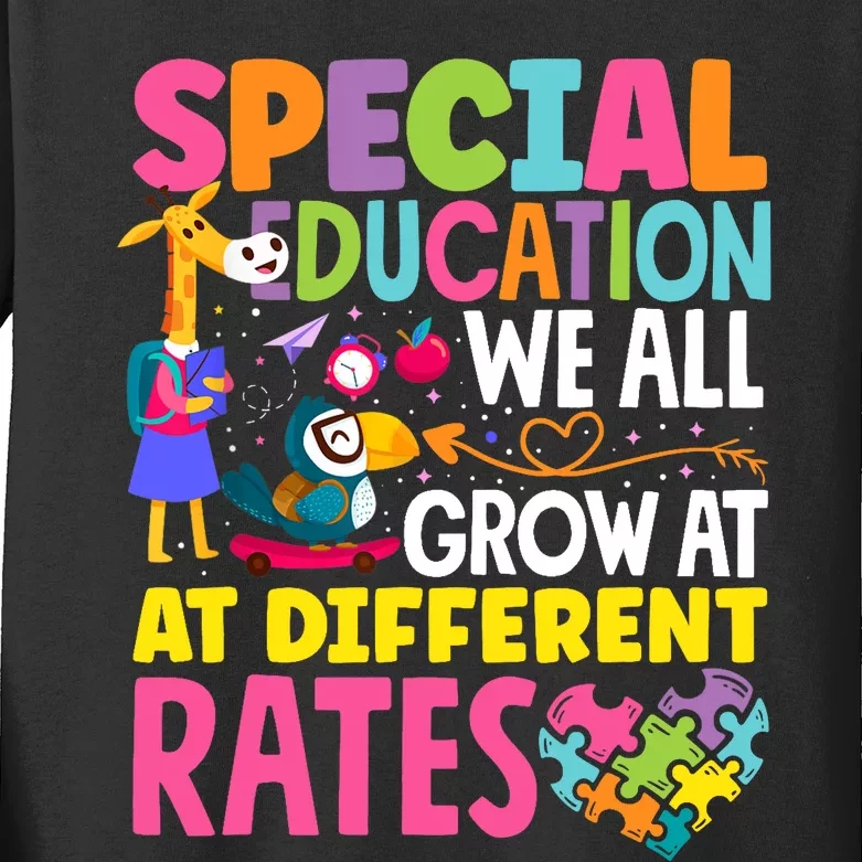 Paraeducator Paraprofessional SPED Teacher Special Education Kids Long Sleeve Shirt