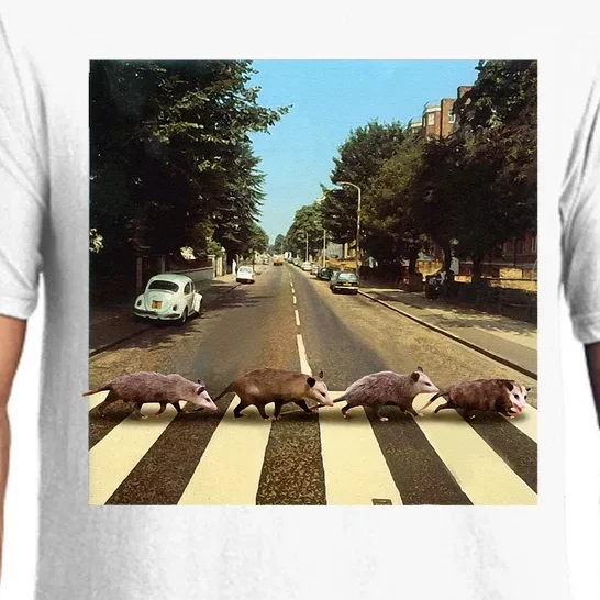 Possums Road Crossing Parody Opposum Lover Pajama Set