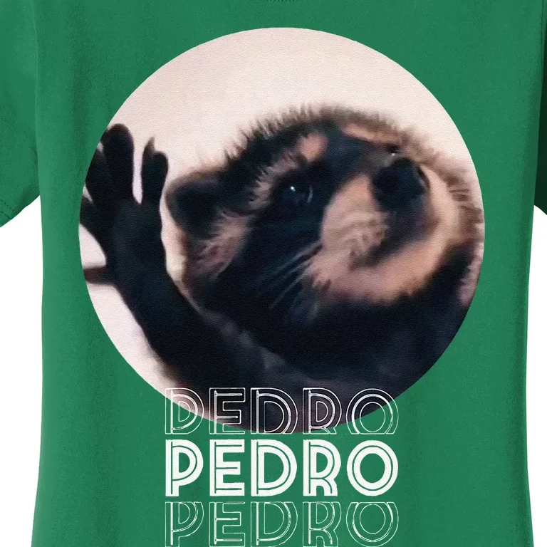 Pedro Racoon Dance Popular Internet Meme Mapache Dance Women's T-Shirt