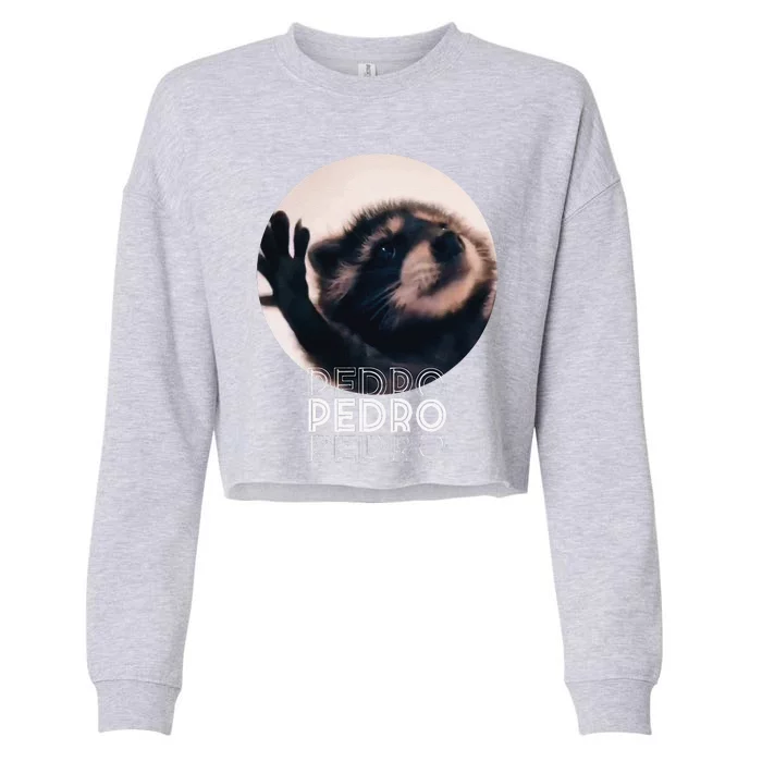 Pedro Racoon Dance Popular Internet Meme Mapache Dance Cropped Pullover Crew