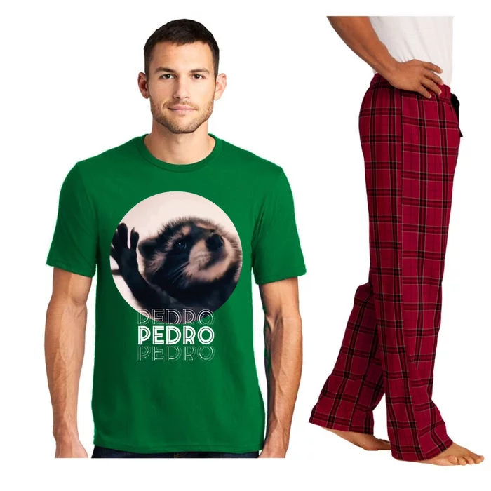 Pedro Racoon Dance Popular Internet Meme Mapache Dance Pajama Set