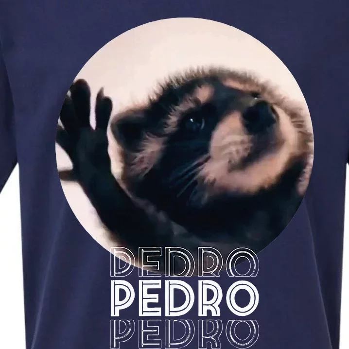 Pedro Racoon Dance Popular Internet Meme Mapache Dance Sueded Cloud Jersey T-Shirt