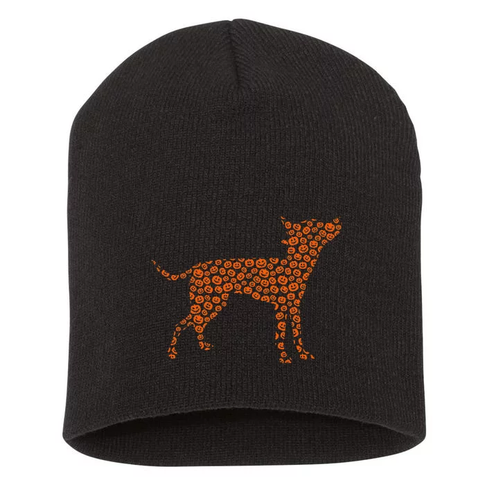 Prague Ratter Dog Silhouette Halloween Pumpkin Short Acrylic Beanie