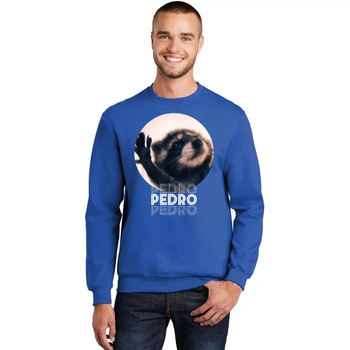 Pedro Racoon Dance Popular Internet Meme Mapache Dance Sweatshirt