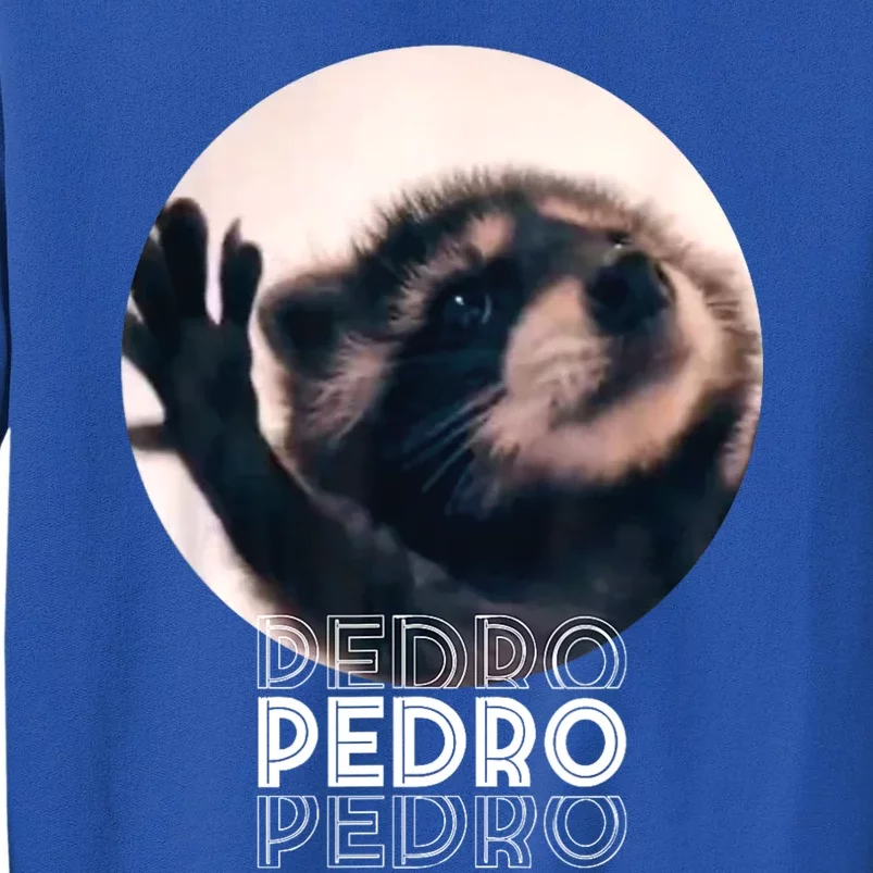 Pedro Racoon Dance Popular Internet Meme Mapache Dance Sweatshirt