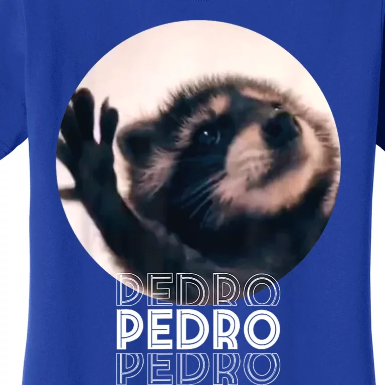 Pedro Racoon Dance Popular Internet Meme Mapache Dance Women's T-Shirt