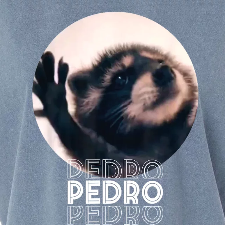 Pedro Racoon Dance Popular Internet Meme Mapache Dance Garment-Dyed Women's Muscle Tee