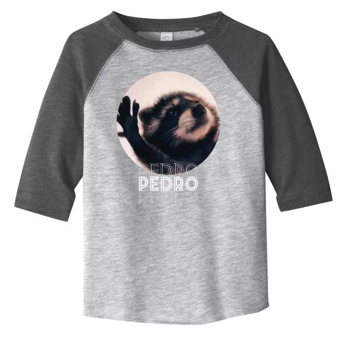 Pedro Racoon Dance Popular Internet Meme Mapache Dance Toddler Fine Jersey T-Shirt