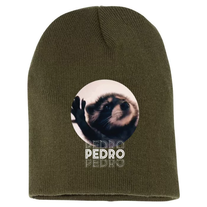 Pedro Racoon Dance Popular Internet Meme Mapache Dance Short Acrylic Beanie