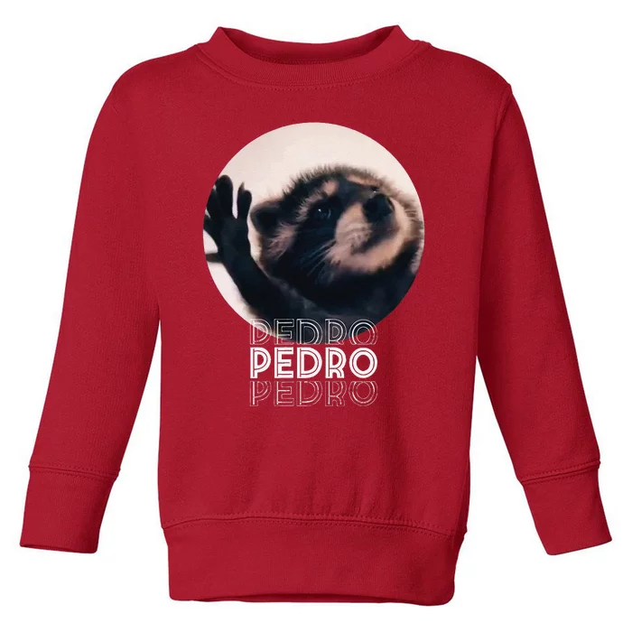 Pedro Racoon Dance Popular Internet Meme Mapache Dance Toddler Sweatshirt