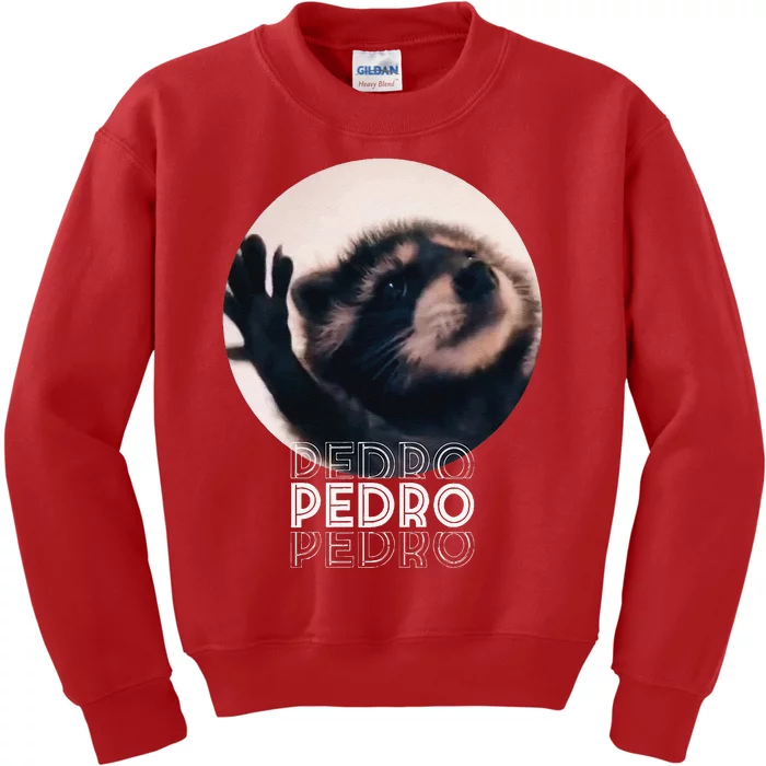 Pedro Racoon Dance Popular Internet Meme Mapache Dance Kids Sweatshirt