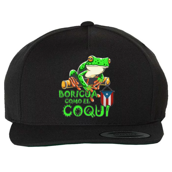 Puerto Rico Frog Puerto Rican Roots Coqui Taino Boricua Gift Wool Snapback Cap