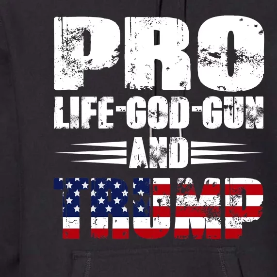 Pro Life God Gun And Trump Premium Hoodie