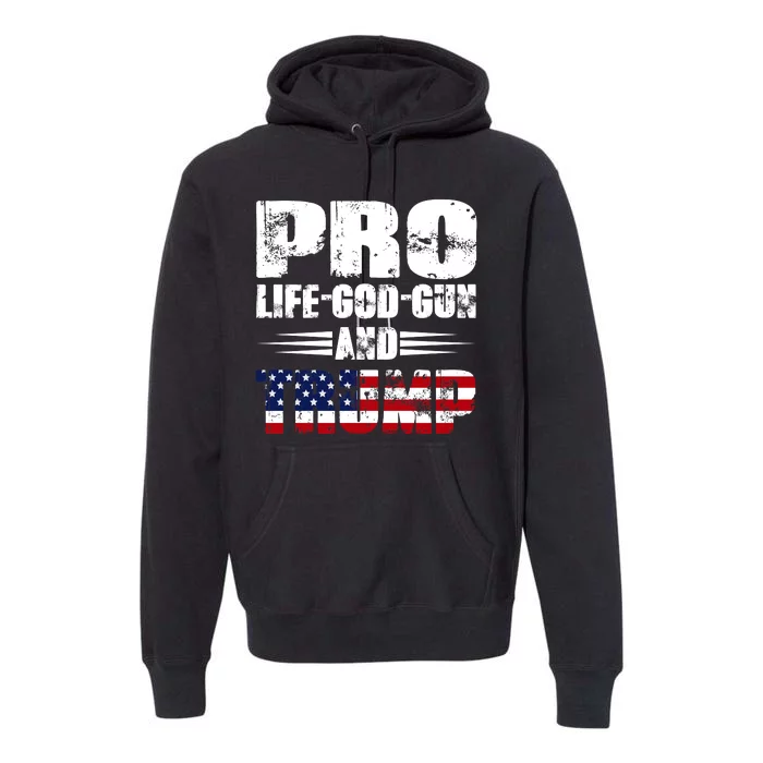 Pro Life God Gun And Trump Premium Hoodie