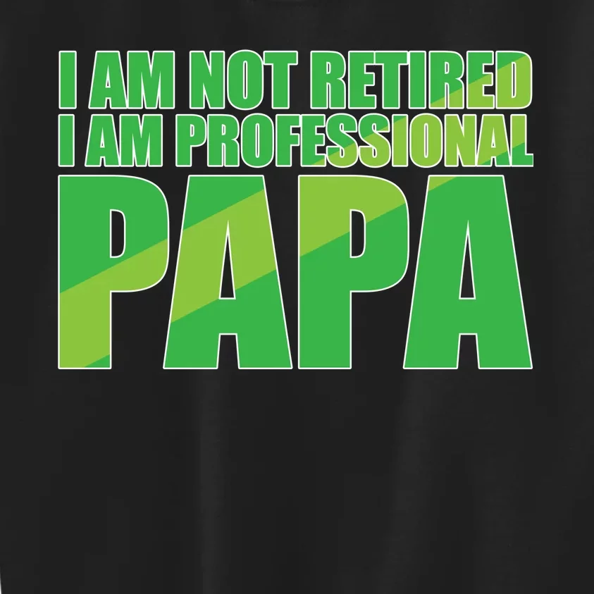 Professional Papa Im Not Retired Kids Sweatshirt