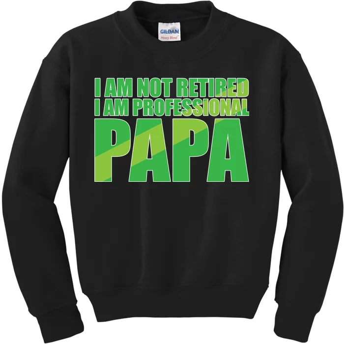 Professional Papa Im Not Retired Kids Sweatshirt