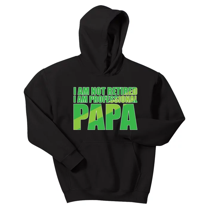 Professional Papa Im Not Retired Kids Hoodie