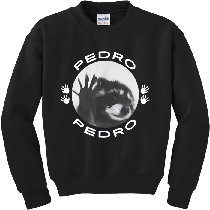 Pedro Raccoon Kids Sweatshirt