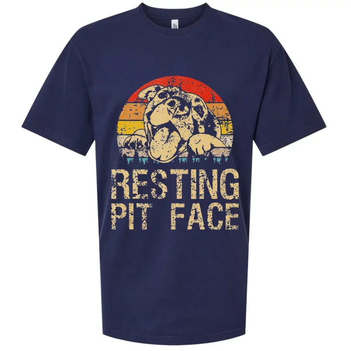 Pitbull Resting Pit Face Vintage Funny Pitbull Lovers Sueded Cloud Jersey T-Shirt