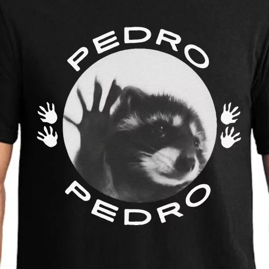 Pedro Raccoon Pajama Set