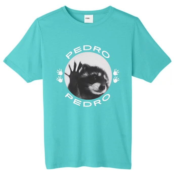 Pedro Raccoon ChromaSoft Performance T-Shirt