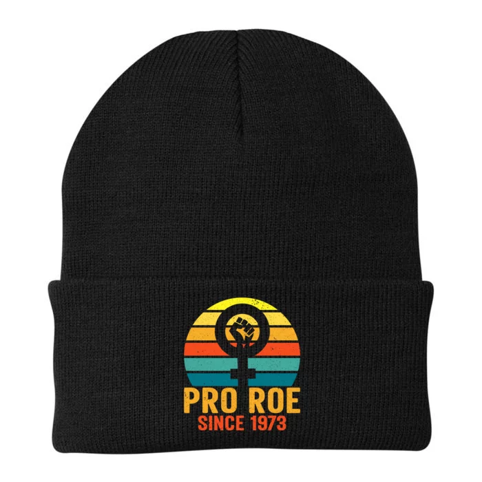 Pro Roe Since 1973 Vintage Retro T Knit Cap Winter Beanie