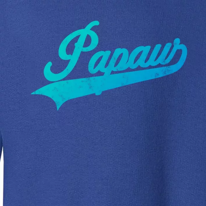 Papaw Retro Style Funny Father’S Day Gift For Dad Grandpa Gift Toddler Sweatshirt