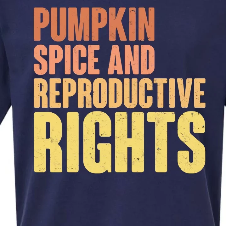 Pumpkin Spice And Reproductive Rights Sueded Cloud Jersey T-Shirt