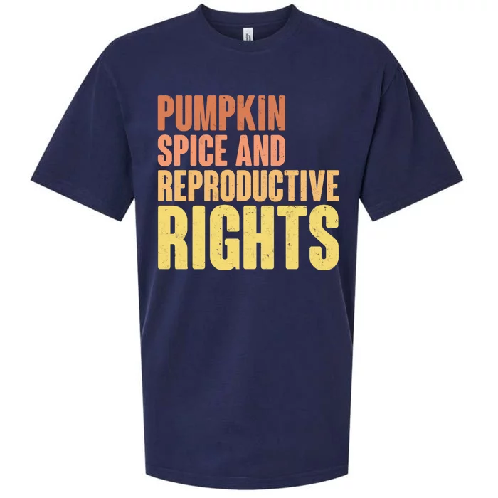 Pumpkin Spice And Reproductive Rights Sueded Cloud Jersey T-Shirt