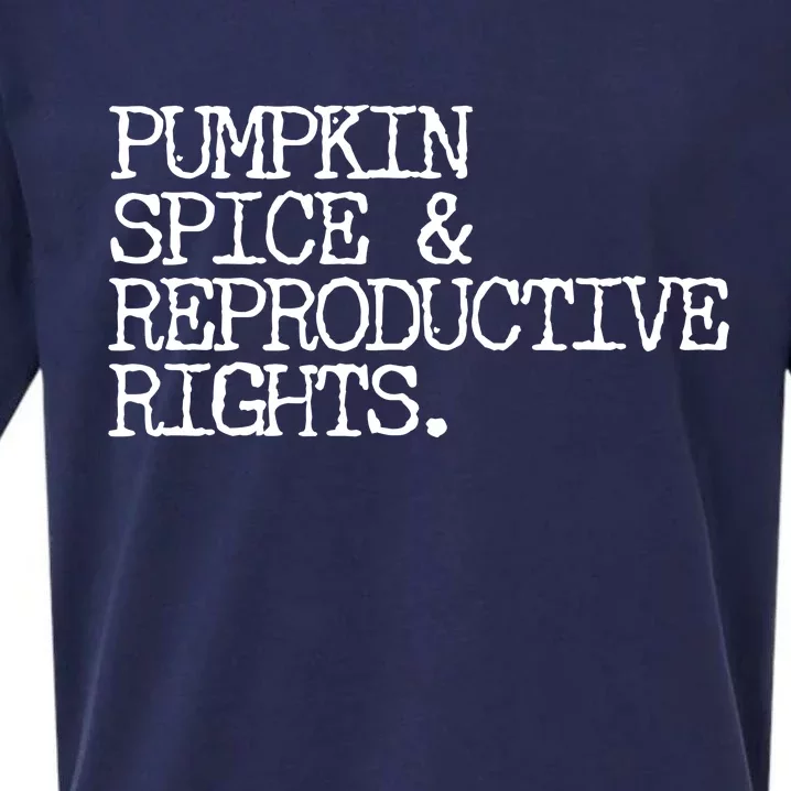 Pumpkin Spice And Reproductive Rights Sueded Cloud Jersey T-Shirt