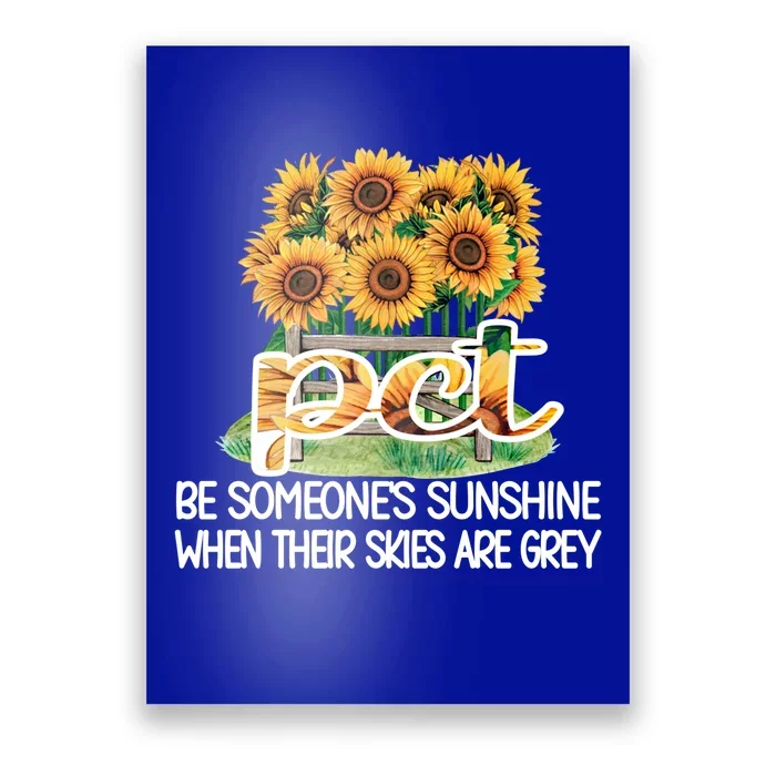 Pct Sunflower Best Patient Care Tech Meaningful Gift Poster