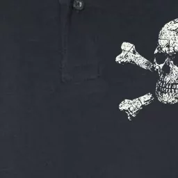 Pirate Skull Banner - Jolly Roger Symbol Softstyle Adult Sport Polo