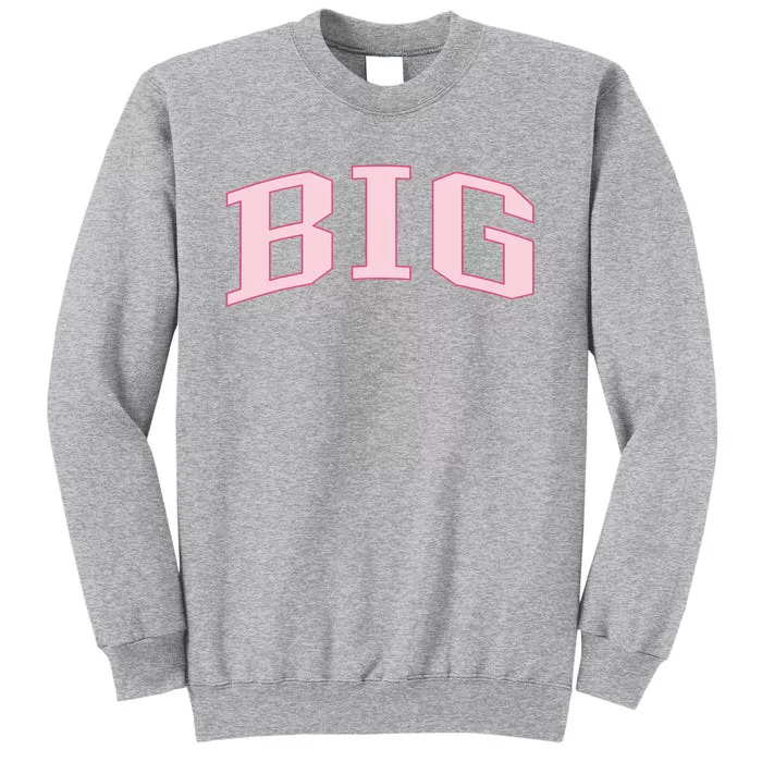 Pink Sorority Crewneck Sweatshirt Tall Sweatshirt