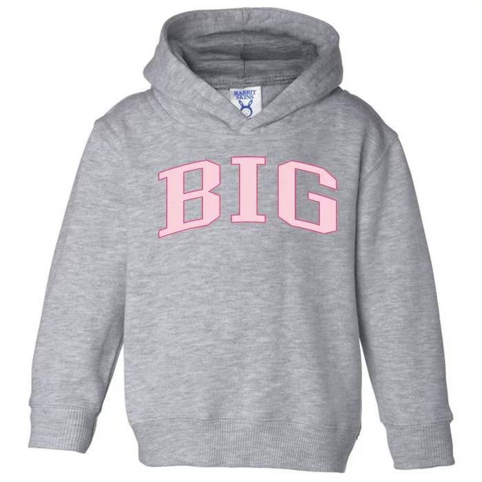 Pink Sorority Crewneck Sweatshirt Toddler Hoodie