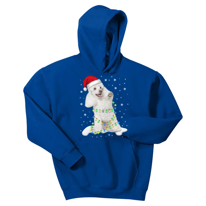 Poodle Santa Christmas Tree Lights Xmas Gift Kids Hoodie