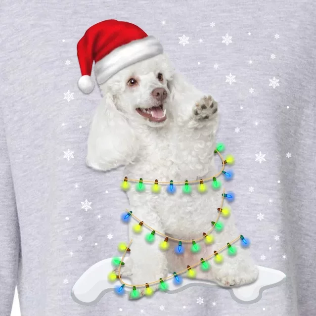 Poodle Santa Christmas Tree Lights Xmas Gift Cropped Pullover Crew