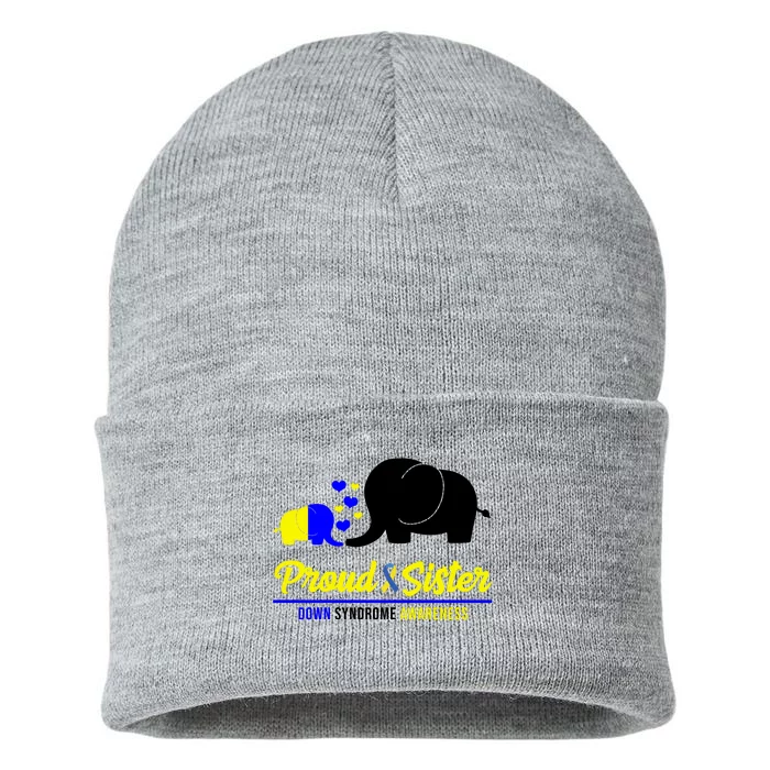 Proud Sister Down Syndrome Awareness Elephant Sustainable Knit Beanie