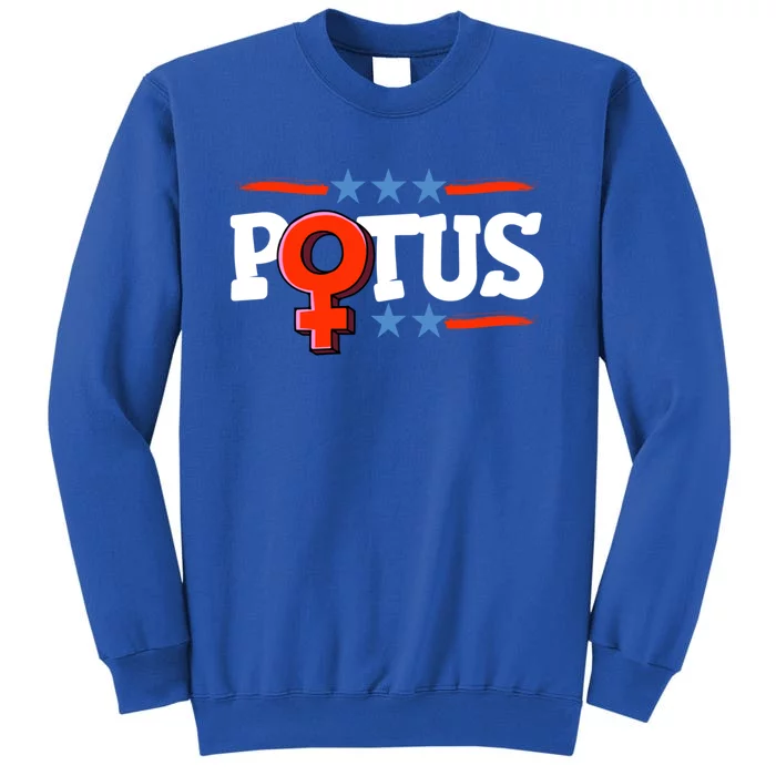 President S In The White House S Potus Election Funny Gift Sweatshirt