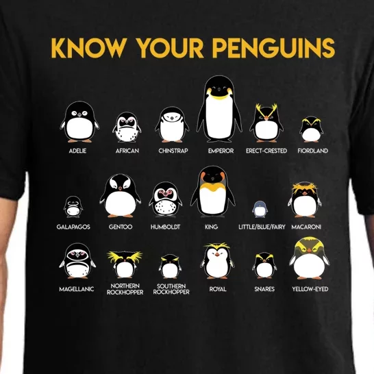 Penguin Species Know Your Penguins Gift Pajama Set