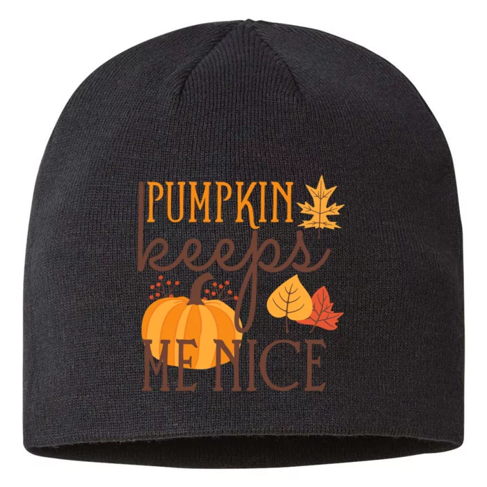 Pumpkin Spice Keeps Me Nice 8 1/2in Sustainable Knit Beanie