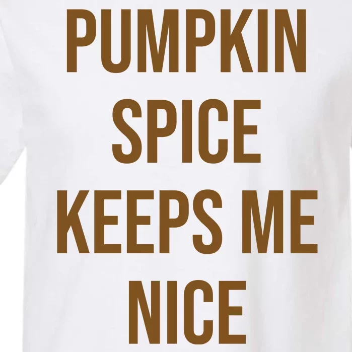 Pumpkin Spice Keeps Me Nice Funny Fall Garment-Dyed Heavyweight T-Shirt