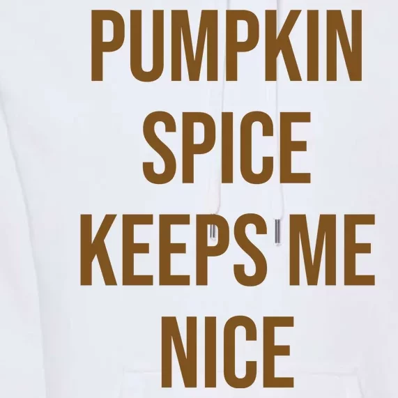 Pumpkin Spice Keeps Me Nice Funny Fall Premium Hoodie