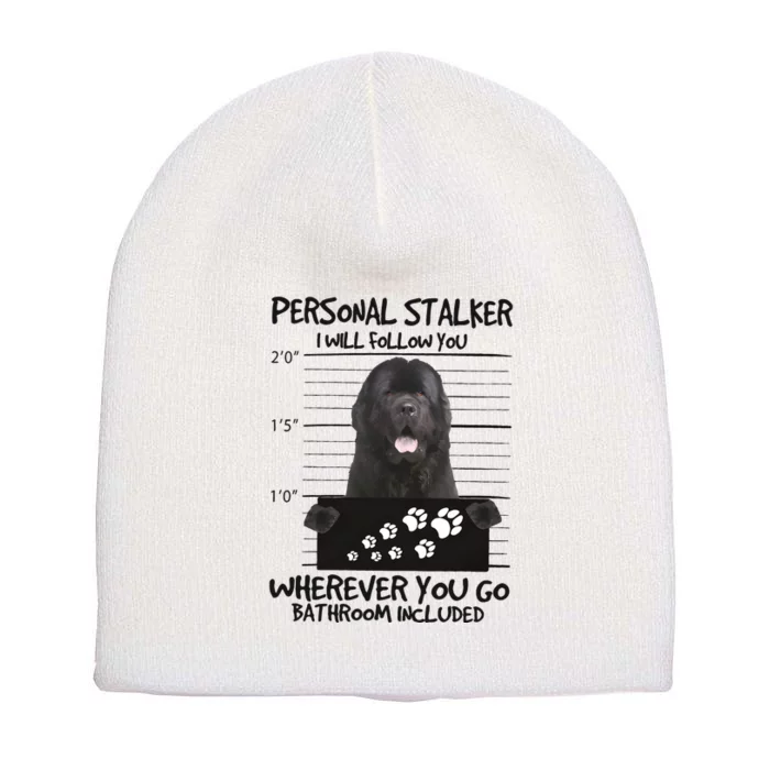 Personal Stalker Newfoundland Short Acrylic Beanie